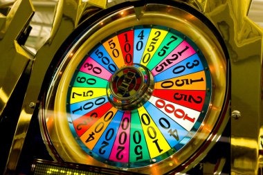 sakura betting history dashboard showing live casino and sportsbook records
